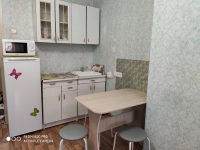 1-комнатная квартира посуточно Красноярск, Вильского, 32: Фотография 3