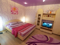 1-комнатная квартира посуточно Новосибирск, Красный проспект, 58: Фотография 2