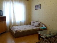 1-комнатная квартира посуточно Гатчина, Чехова, 26: Фотография 2