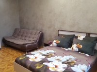 3-комнатная квартира посуточно Гатчина, Чехова, 26: Фотография 8