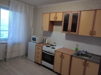 1-комнатная квартира посуточно Красноярск, Молокова, 16: Фотография 2