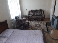 1-комнатная квартира посуточно Нижний Новгород, Коминтерна, 115: Фотография 2