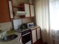 1-комнатная квартира посуточно Нижний Новгород, Дмитрия Павлова , 4: Фотография 2