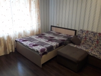 1-комнатная квартира посуточно Брянск, улица Евдокимова, 8: Фотография 3