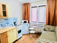 1-комнатная квартира посуточно Красноярск, 9 мая , 53: Фотография 5