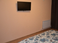 1-комнатная квартира посуточно Нижний Новгород, ул. Коминтерна , 115: Фотография 4