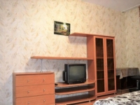1-комнатная квартира посуточно Казань, Чистопольская, 5: Фотография 2