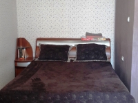 1-комнатная квартира посуточно Ставрополь, 50 лет влксм, 107: Фотография 3