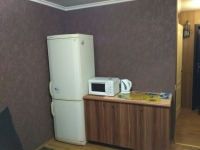 1-комнатная квартира посуточно Донецк, стадионная, 4: Фотография 4