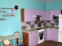 1-комнатная квартира посуточно Челябинск, Университетская набережная, 46: Фотография 2