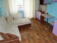 1-комнатная квартира посуточно Челябинск, Университетская набережная, 46: Фотография 10