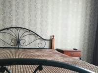 1-комнатная квартира посуточно Пермь, Металлистов, 21: Фотография 5
