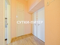 2-комнатная квартира посуточно Санкт-Петербург, Потемкинская, 13: Фотография 17