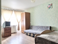 1-комнатная квартира посуточно Екатеринбург, ЧЕЛЮСКИНЦЕВ , 110: Фотография 2