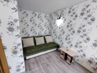 1-комнатная квартира посуточно Красноярск, Свердловская , 9: Фотография 2