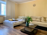 2-комнатная квартира посуточно Екатеринбург, Репина, 107: Фотография 3