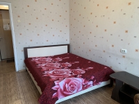 1-комнатная квартира посуточно Красноярск, 78 добровольческой бригады, 19: Фотография 3