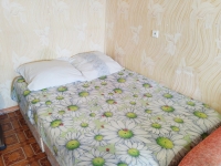 1-комнатная квартира посуточно Пенза, Глазунова, 1: Фотография 16