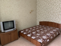 1-комнатная квартира посуточно Красноярск, Дубровинского, 50: Фотография 11