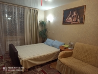 1-комнатная квартира посуточно Дзержинск, Петрищева, 14: Фотография 5