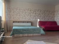 1-комнатная квартира посуточно Иркутск, Байкальская , 244: Фотография 13