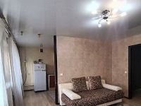 1-комнатная квартира посуточно Самара, Карбышева , 63: Фотография 5