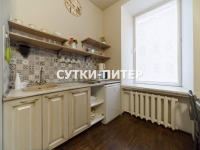2-комнатная квартира посуточно Санкт-Петербург, Невский пр. , 63: Фотография 8