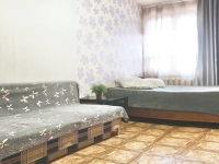 1-комнатная квартира посуточно Екатеринбург, ЧЕЛЮСКИНЦЕВ, 21: Фотография 2