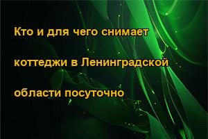 Кто и для чего снимает коттеджи в Ленинградской области посуточно