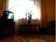 1-комнатная квартира посуточно Нижний Новгород, улица Бекетова, 65: Фотография 3
