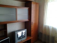 1-комнатная квартира посуточно Нижний Новгород, белинского, 89: Фотография 5