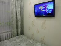1-комнатная квартира посуточно Нижнекамск, Менделеева, 41: Фотография 2
