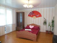 1-комнатная квартира посуточно Нижнекамск, Лесная, 23: Фотография 2