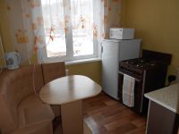 1-комнатная квартира посуточно Белокуриха, Мясникова, 16: Фотография 2