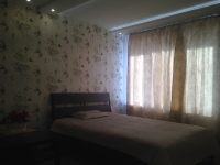 1-комнатная квартира посуточно Нижний Новгород, Чкалова, 37: Фотография 2