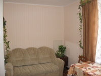 1-комнатная квартира посуточно Екатеринбург, Гагарина, 35: Фотография 4