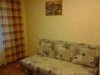 1-комнатная квартира посуточно Нижний Новгород, эвеэдинка, 5: Фотография 2