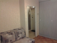 1-комнатная квартира посуточно Нижний Новгород, эвеэдинка, 5: Фотография 3