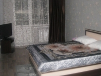 1-комнатная квартира посуточно Барнаул, Павловский тракт, 293: Фотография 2