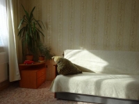 2-комнатная квартира посуточно Великий Новгород, Большая Санкт-Петербургская, 108 к 7: Фотография 5