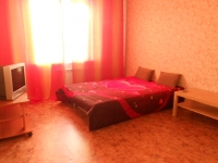 1-комнатная квартира посуточно Нижний Новгород, Даргомыжского, 15: Фотография 2