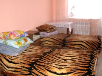 2-комнатная квартира посуточно Улан-Удэ, Ключевская, 90а: Фотография 3
