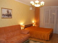 1-комнатная квартира посуточно Нижний Новгород, Белинского, 38: Фотография 2
