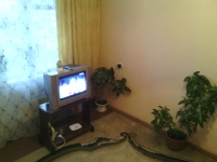 1-комнатная квартира посуточно Минусинск, ванеева, 3: Фотография 4
