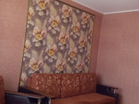 1-комнатная квартира посуточно Саранск, Ульянова, 93: Фотография 2