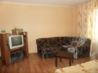 1-комнатная квартира посуточно Челябинск, Проспект Ленина, 38: Фотография 2