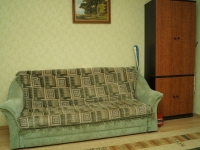 1-комнатная квартира посуточно Ульяновск,  Радищева, 149: Фотография 2