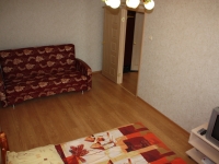 1-комнатная квартира посуточно Нижний Новгород, Дмитрия Павлова, 4: Фотография 2
