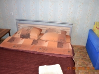 1-комнатная квартира посуточно Челябинск, Двинская, 23: Фотография 4
