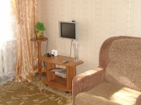 1-комнатная квартира посуточно Нижний Новгород, улица Белинского, 87: Фотография 4
